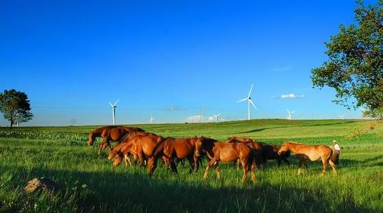 �ӱ������żҿ��������ξ����ο�