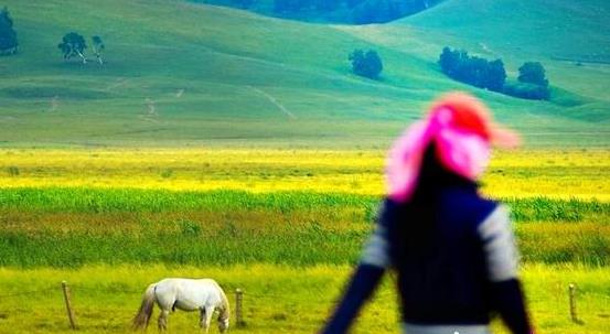 �ӱ����ге����ι���֮��������ο�