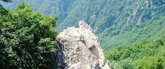 �����������ֹ�����ɽ���־������ι��Ծ�������