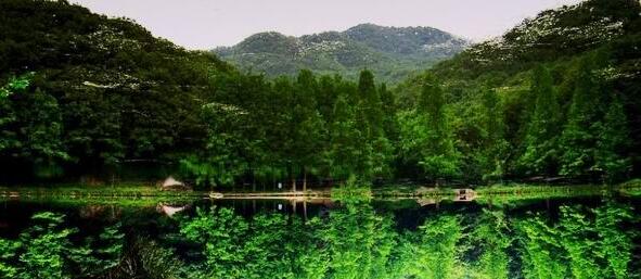 �ų��Ŷ���ɫ����ض��������ι���ֵ��ȥ�ľ���