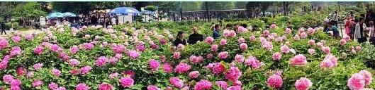 �ų��Ŷ���ɫ����ض��������ι����г���·�Ƽ�