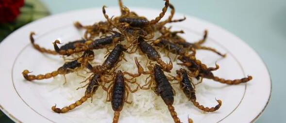 �������б���С��կ��̨ɽ���ι�����ʳ�ο�