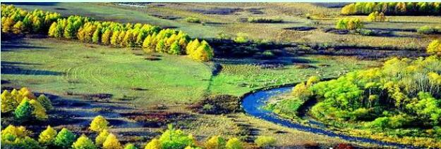 ���������������ֶ��������ι����������ο�