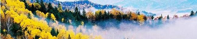 ���������������ֶ��������ι����г��Ƽ�