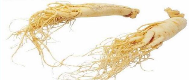 ���������������ֶ��������ι����ز��͹���ο�