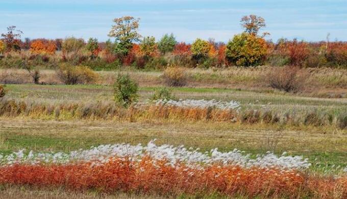 ��ľ˹���ι��������յ������������