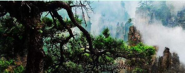 �������������´����żҽ����ι������鼸���º�ע��