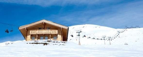 �������йض�ѩ���������ι����������ο����ι���