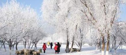 �������йض�ѩ���������ι��Ծ����������ι���