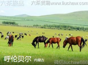 内蒙古-呼伦贝尔.