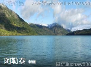 �½�-����̩.