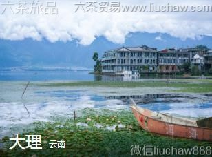 ����-����.