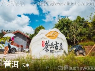 ����-�ն�.