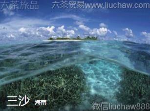 ����-��ɳ.