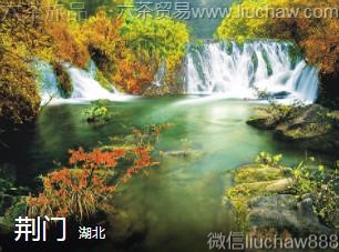 ����-����