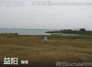 ����-����