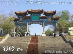 ����-����