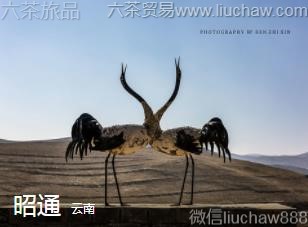 ����-��ͨ..