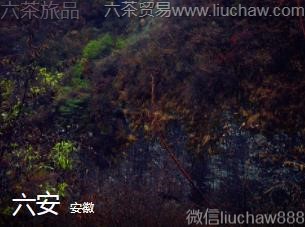 安微-六安