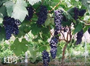 ����-���