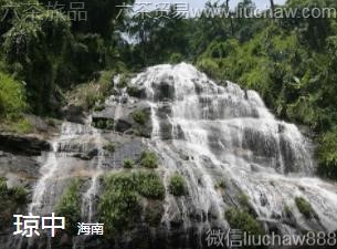 ����-����..