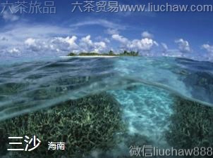 ����-��ɳ..