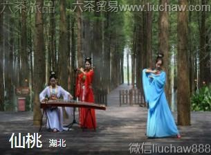 ����-����..