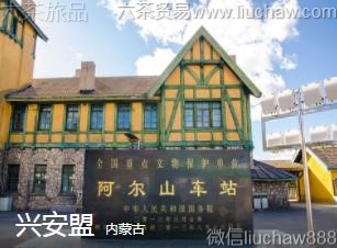 ���ɹ�-�˰���...