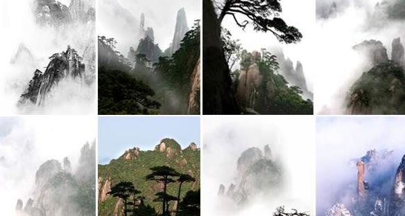 �������е�һ�ɷ�����ɽ����֮������������ƺ�