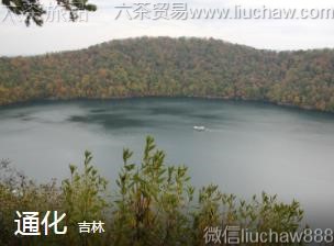 ����-ͨ��..