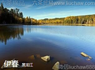 ������-����...