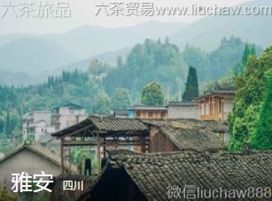 四川-雅安