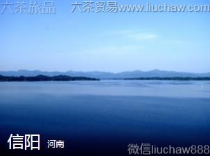 ����-����.