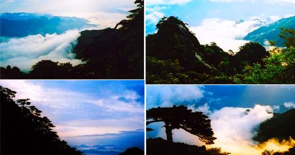 �������е�һ�ɷ�����ɽ����֮������ʾ