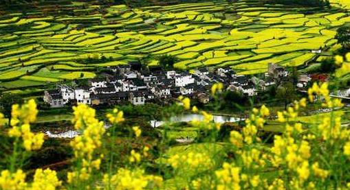 ��������Դ�����Ͳ˻���Ӱ��·�滮