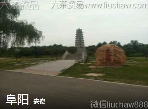 ��΢-������