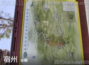 ��΢-���ݣ�