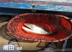 ����-���