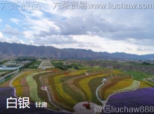 ����-������