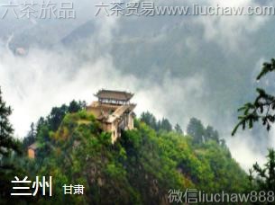 ����-���ݣ�