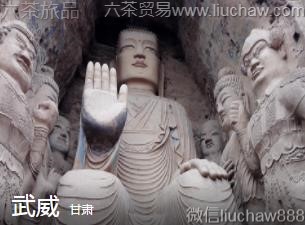 ����-������