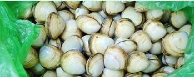 ���������˳Ǻ�����«�����ι����˳ǺóԵĵط�