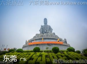 �㶫-��ݸ��