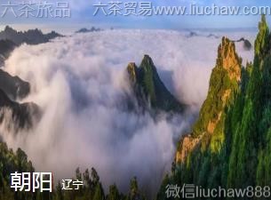 ����-����