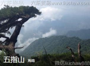 海南-五指山,