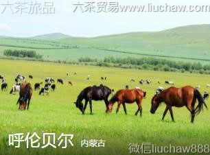 ���ɹ�-���ױ���..