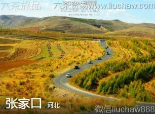 河北-张家口,