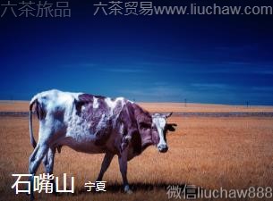 ����-ʯ��ɽ