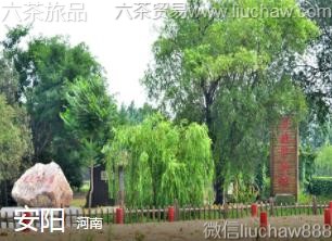河南-安阳,
