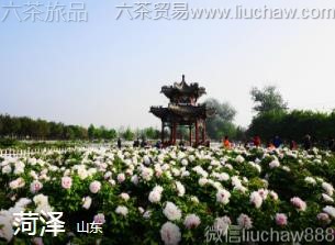 ɽ��-����.